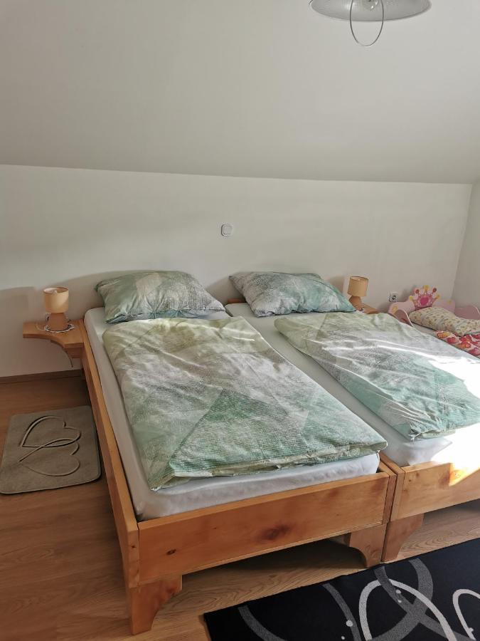 Apartman I Soba Hadela Sveti Martin Na Muri Ngoại thất bức ảnh